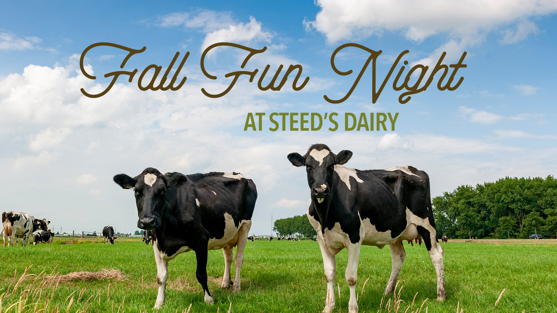 Fall Fun Night