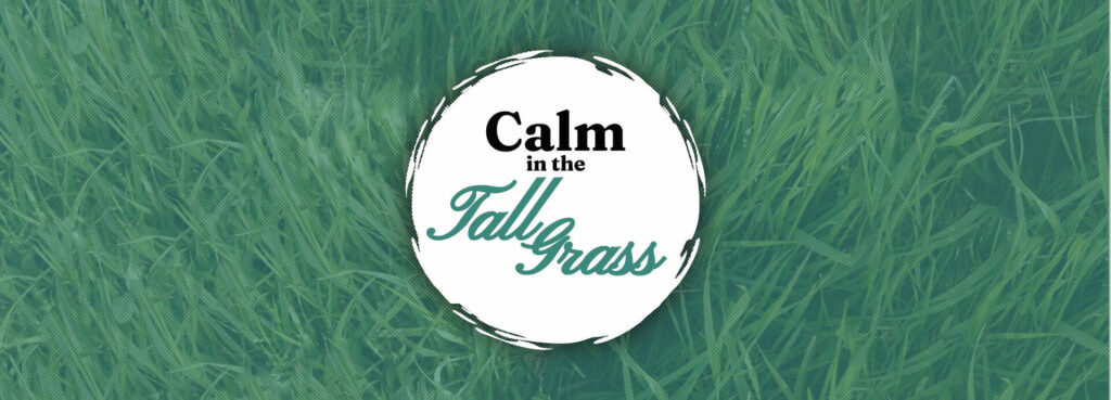 Calm in the Tall Grass